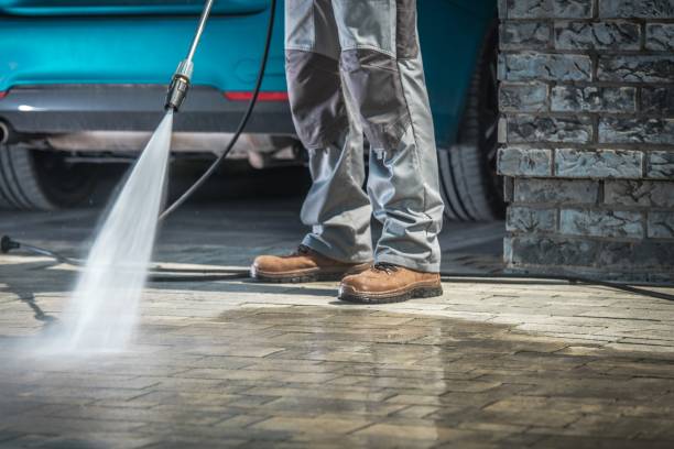 Best Gutter Cleaning  in North Fort Myers, FL