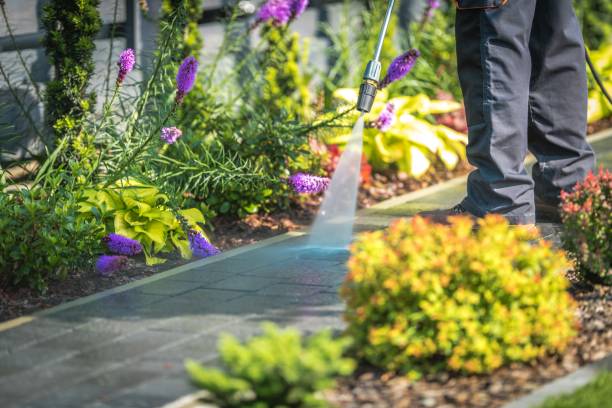 Best Dumpster Area Cleaning  in North Fort Myers, FL